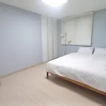 Hongdae Cozy&Lovely House 2Rooms
